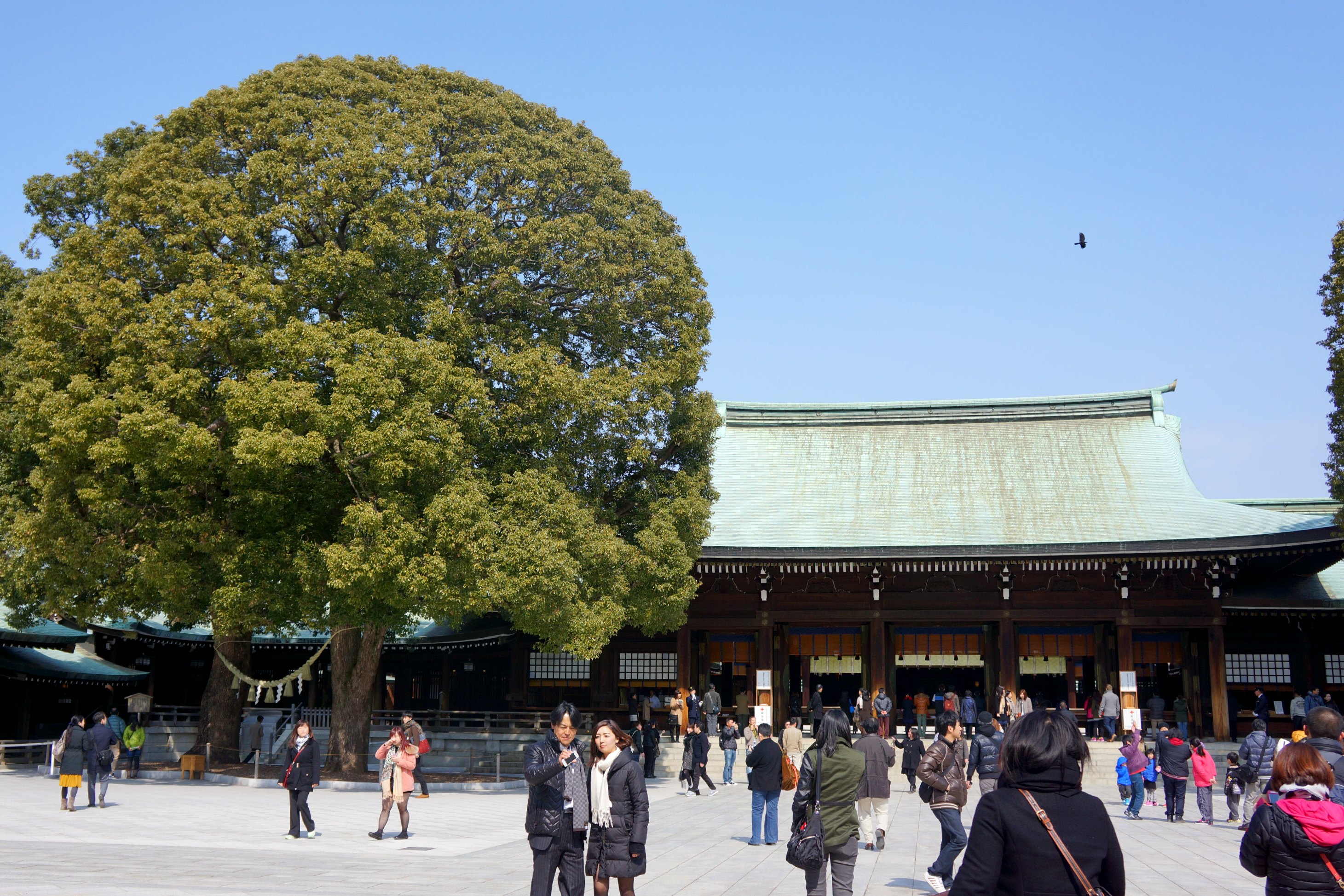 Shinto shrine essay